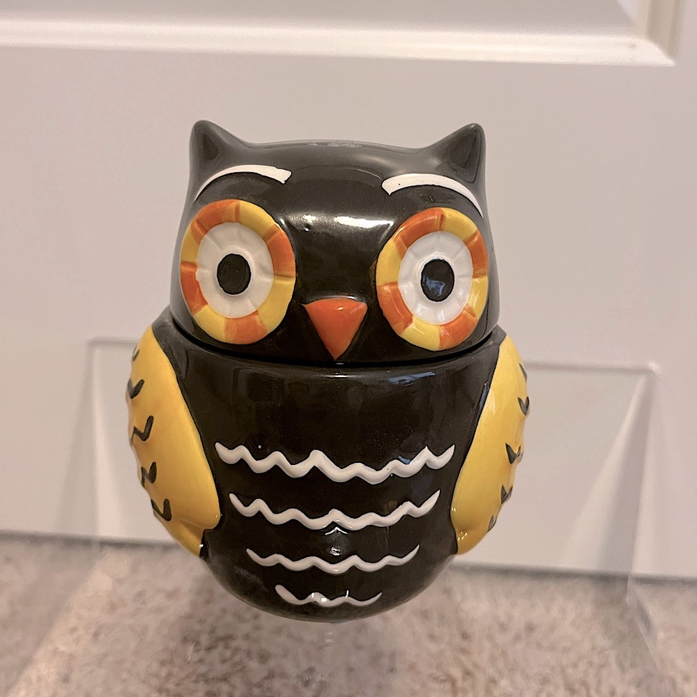 Owl 🦉 decor